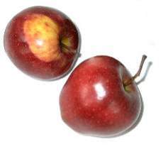 Äpfel-2.jpg
